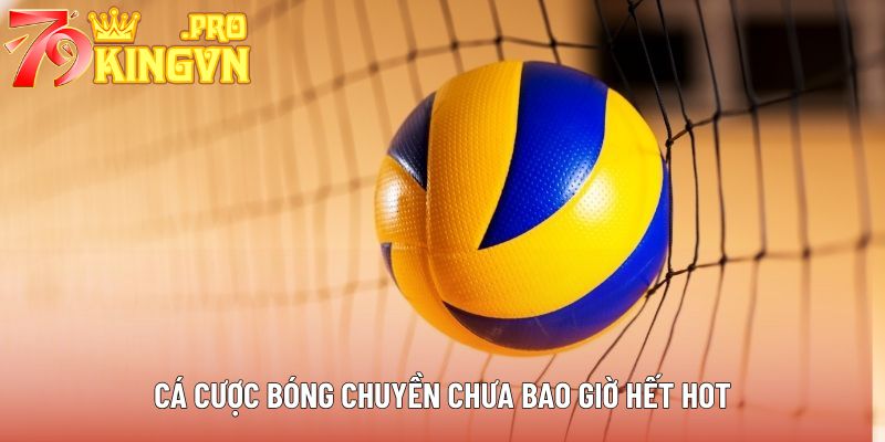 Cá cược bóng chuyền chưa bao giờ hết hot