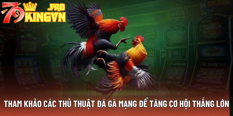 Tham khảo các thủ thuật đá gà mạng để tăng cơ hội thắng lớn