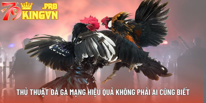 Thủ thuật đá gà mạng